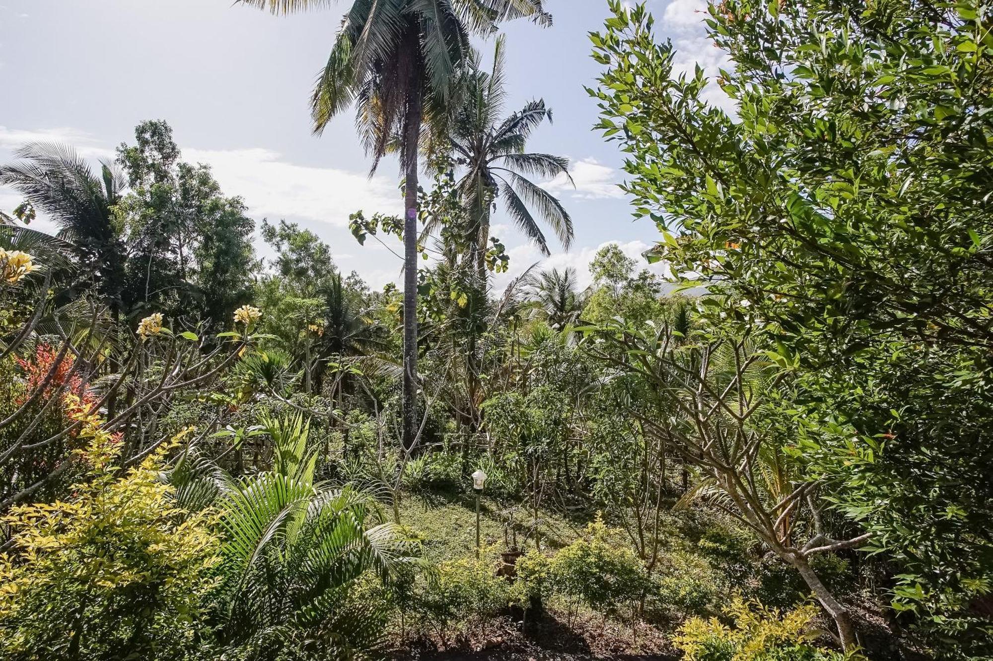 Penida Lapaya Bungalows Nusa Penida Sakti エクステリア 写真